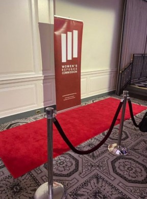 Red Carpet, Rope & Stanchions