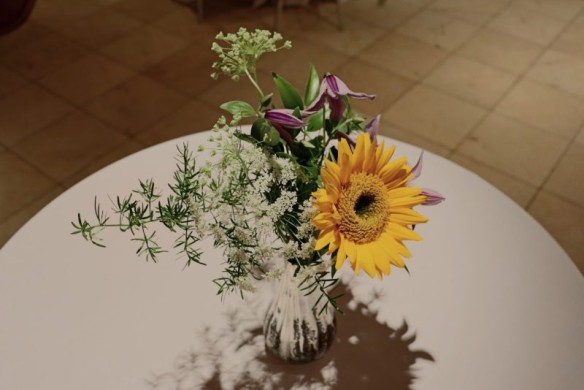 Sunflower and Queen Anne's Lace