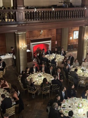 MDR pinspots + asteras in fireplace