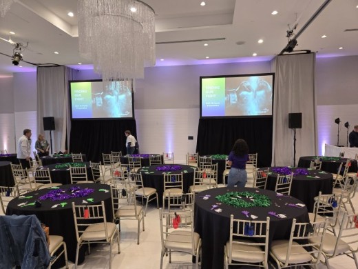Two Screen Setup with Projection & Audio Support