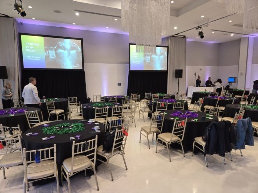 Projector & Audio Services