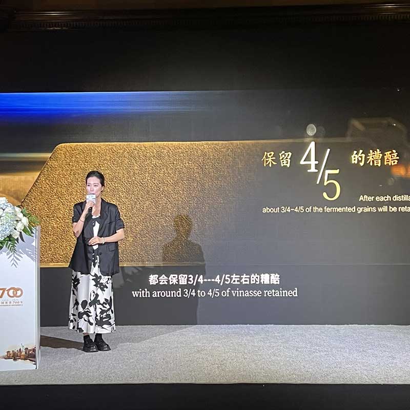 Recent Gala Productions presentation project